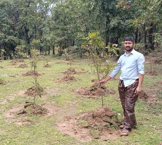 Biodiversity Conservation and Tree Plantation